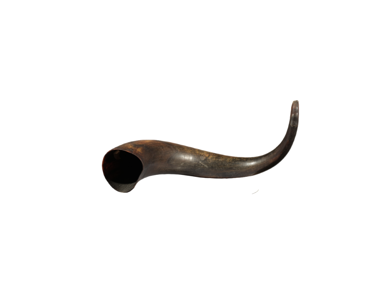 Wine drinking horn